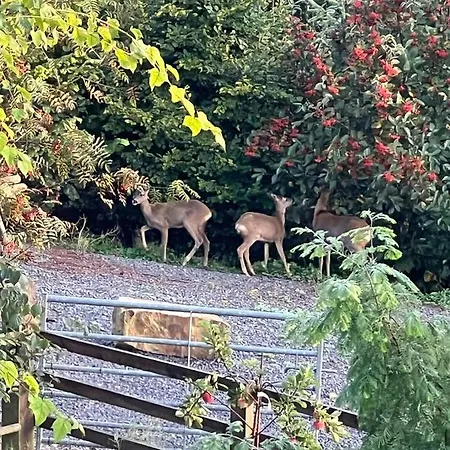 The Pines Treehouse At Treetops Hideouts *