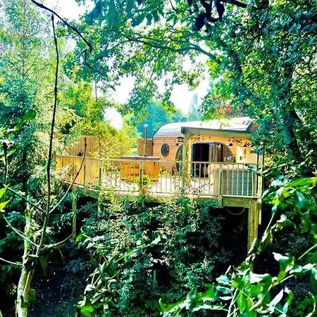 The Pines Treehouse At Treetops Hideouts Holiday home *